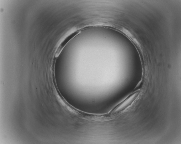 X0000085291189200703231825