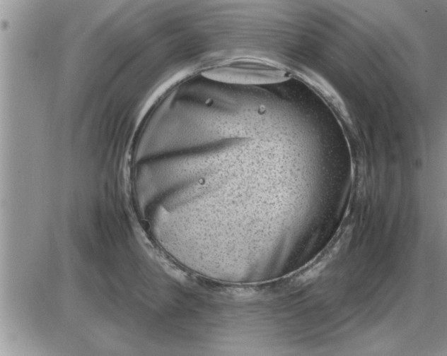 X0000085291190200703231825