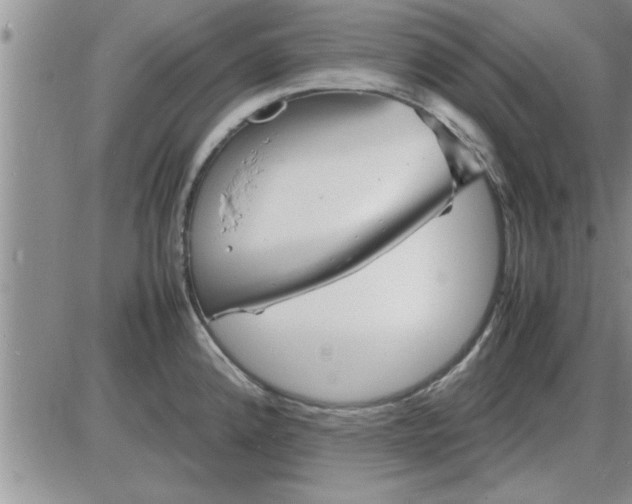 X0000085291192200703231825