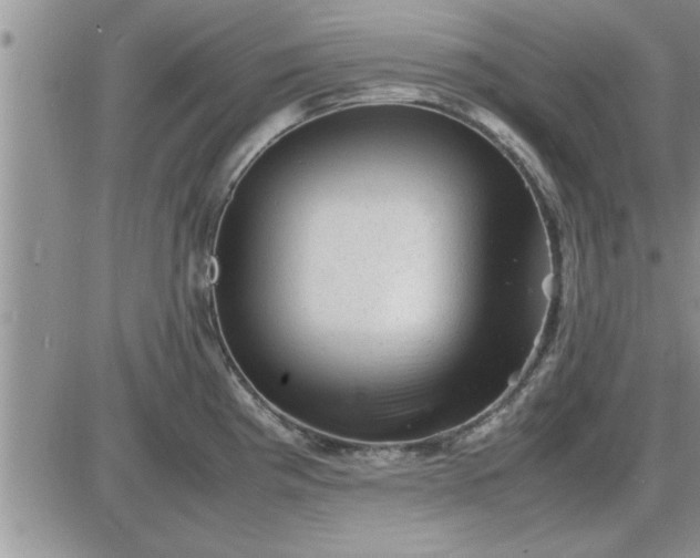 X0000085291193200703231825