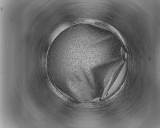 X0000085291194200703231825