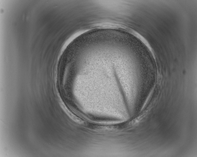 X0000085291195200703231825