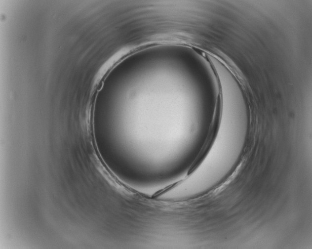 X0000085291196200703231825