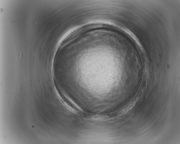 X0000085291199200703231825