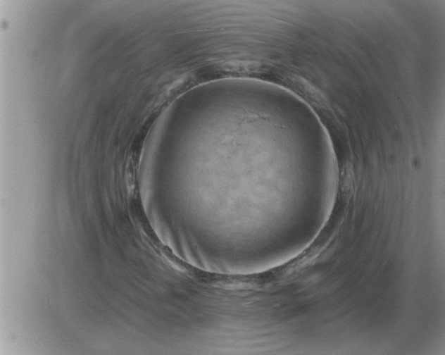 X0000085291202200703231824