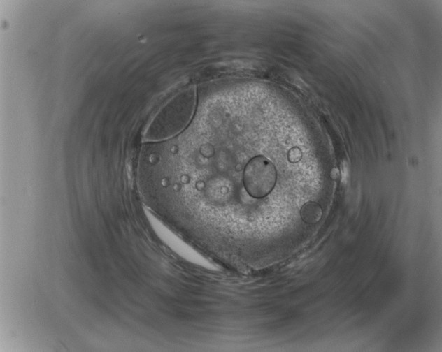 X0000085291203200703231824