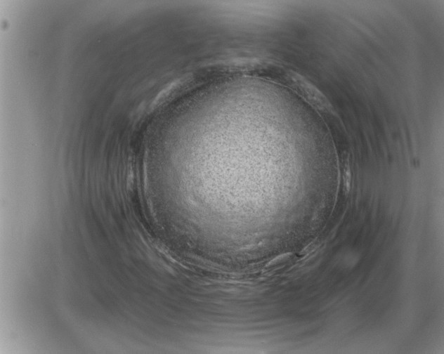 X0000085291204200703231824