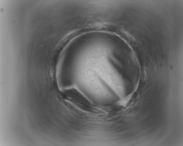 X0000085291206200703231824