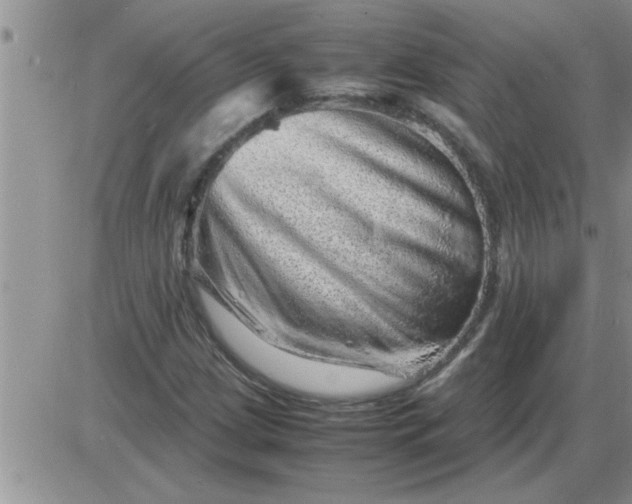 X0000085291209200703231824