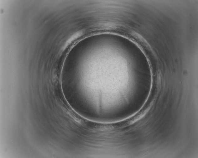 X0000085291210200703231824