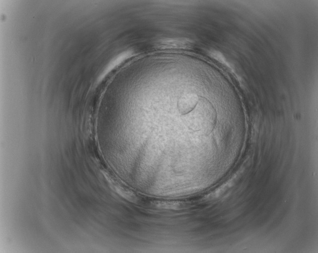 X0000085291211200703231824