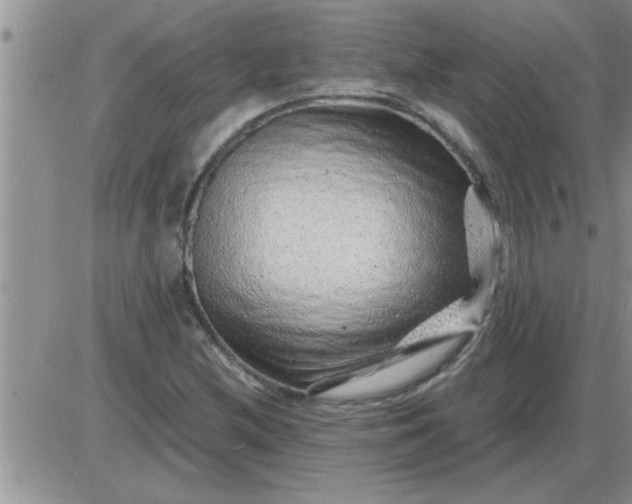 X0000085291212200703231824