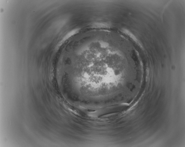 X0000085291213200703231824