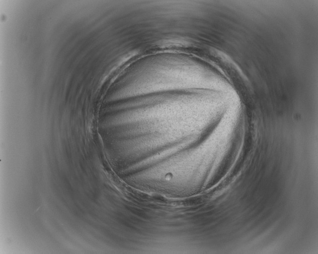 X0000085291217200703231824