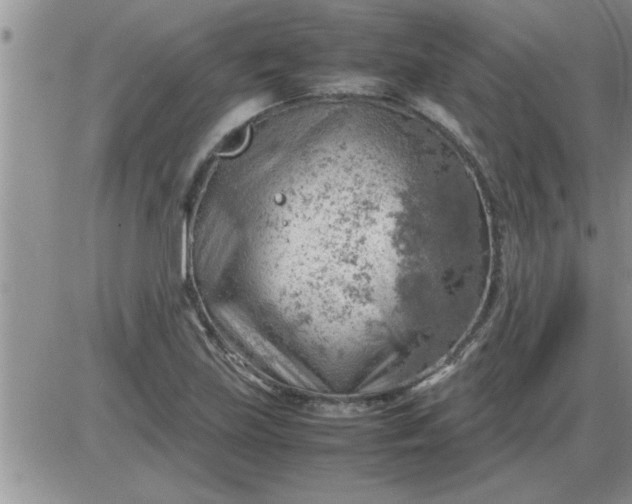 X0000085291219200703231824