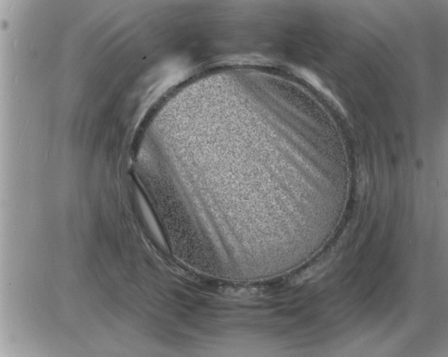 X0000085291221200703231824