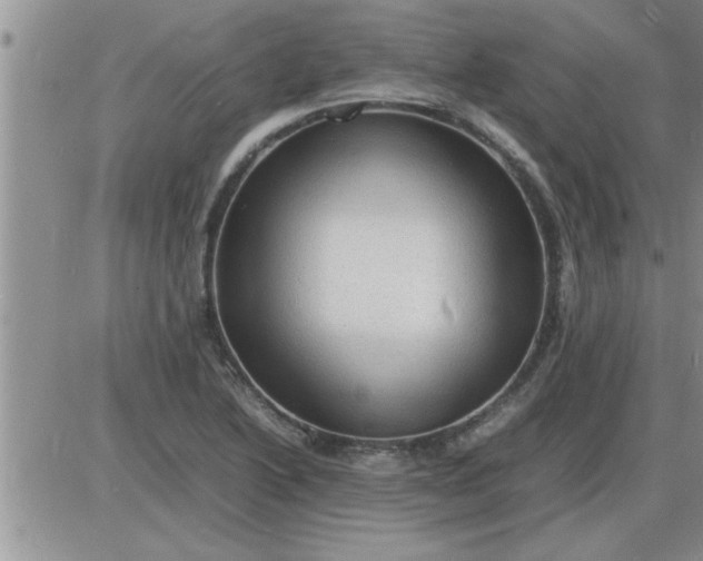 X0000085291222200703231824