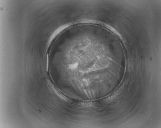 X0000085291223200703231824