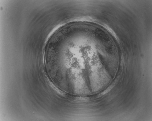 X0000085291224200703231824