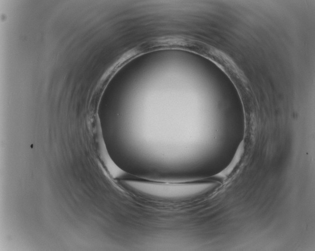 X0000085291225200703231824