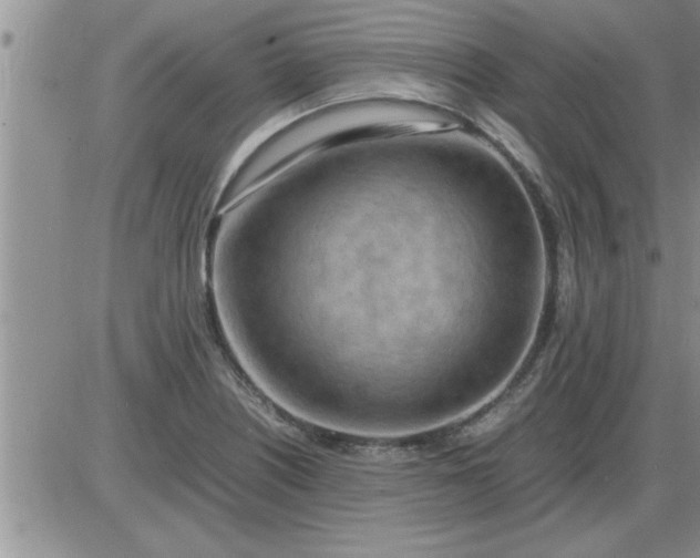 X0000085291226200703231824