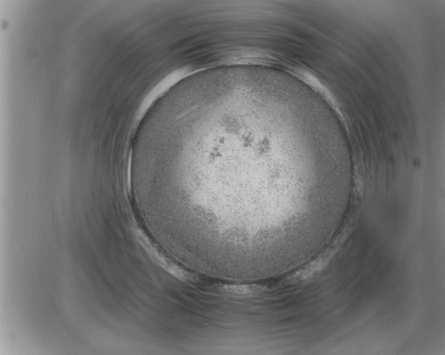 X0000085291227200703231824