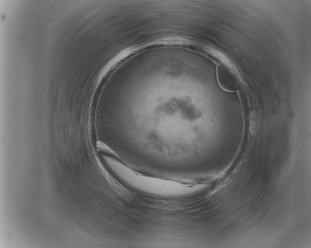 X0000085291229200703231824