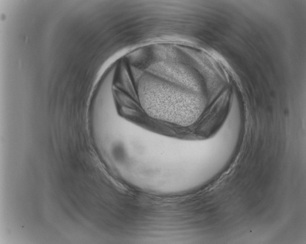 X0000085291230200703231824