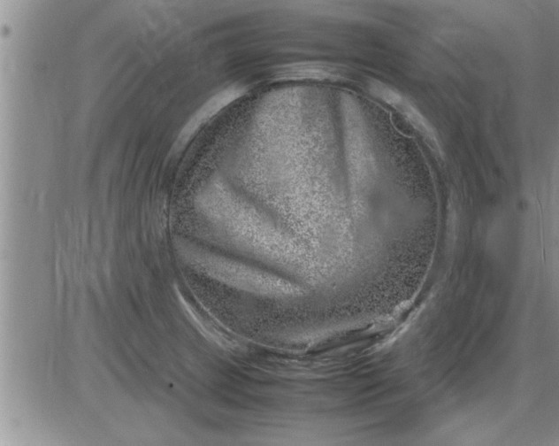 X0000085291233200703231824