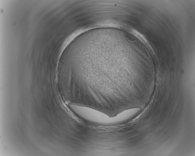 X0000085291236200703231824