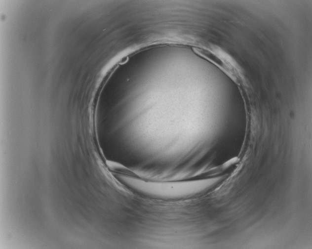 X0000085291238200703231824