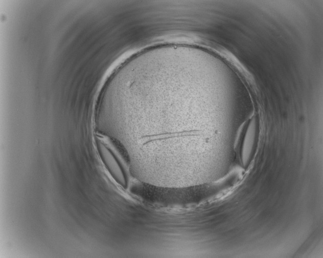 X0000085291240200703231824