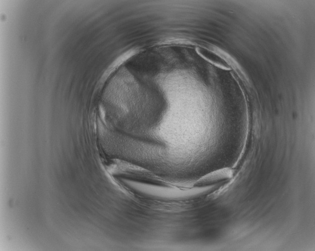 X0000085291241200703231824