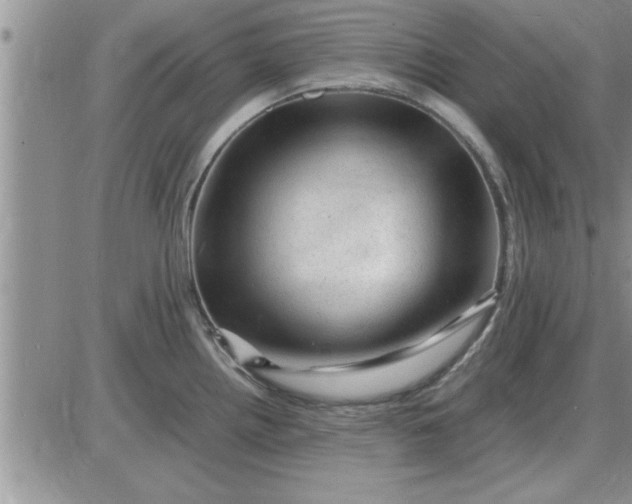 X0000085291242200703231824