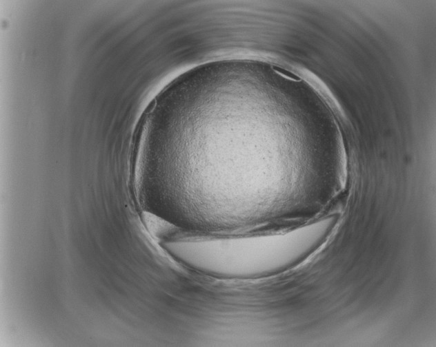 X0000085291244200703231825