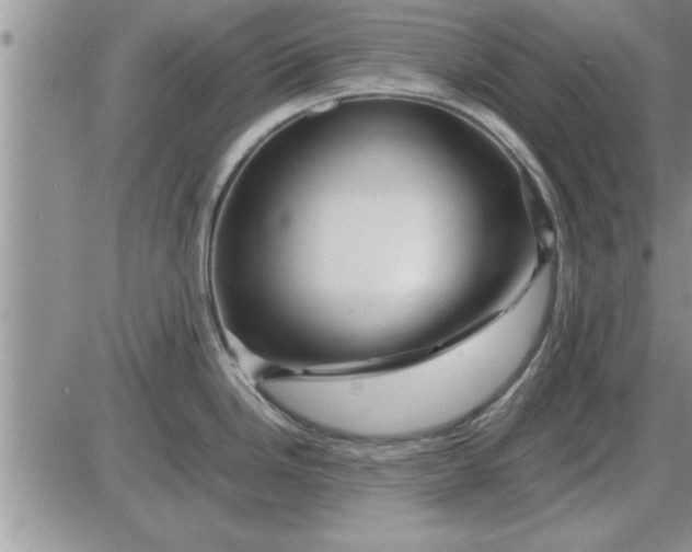 X0000085291246200703231825