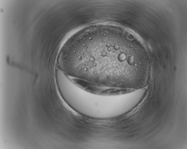 X0000085291247200703231825