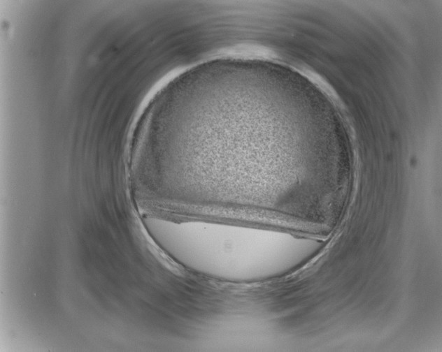 X0000085291248200703231825