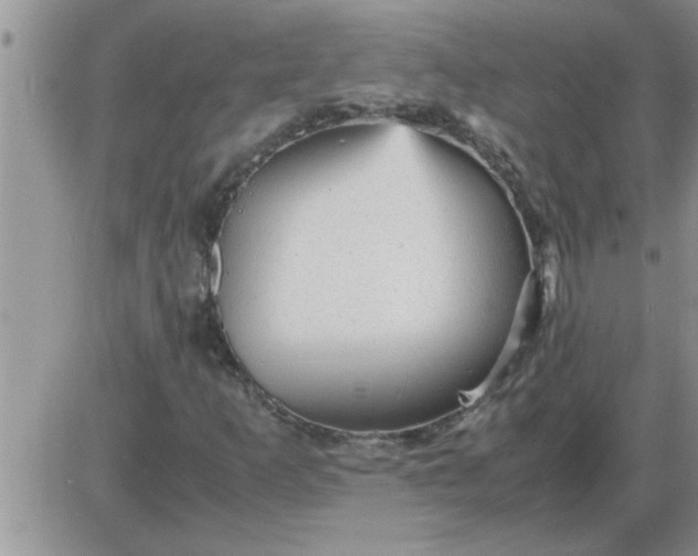 X0000085291253200703231824