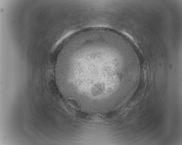 X0000085291255200703231824