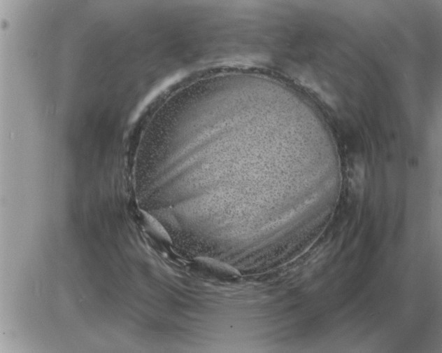 X0000085291256200703231824