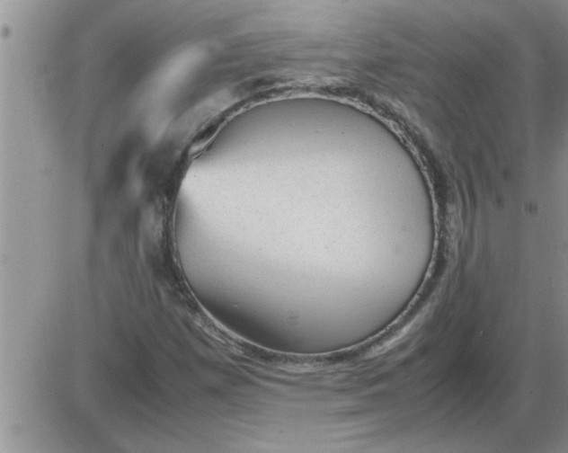 X0000085291257200703231824