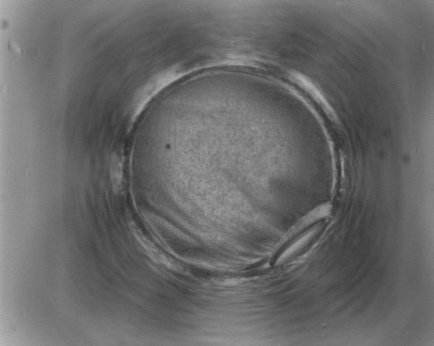 X0000085291260200703231824