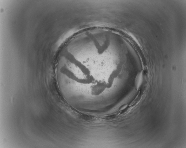 X0000085291263200703231824