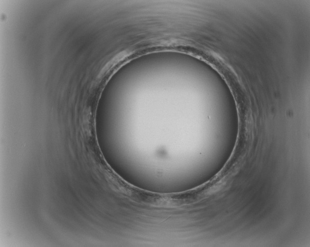 X0000085291265200703231824