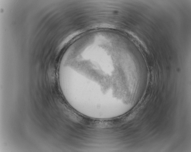 X0000085291266200703231823