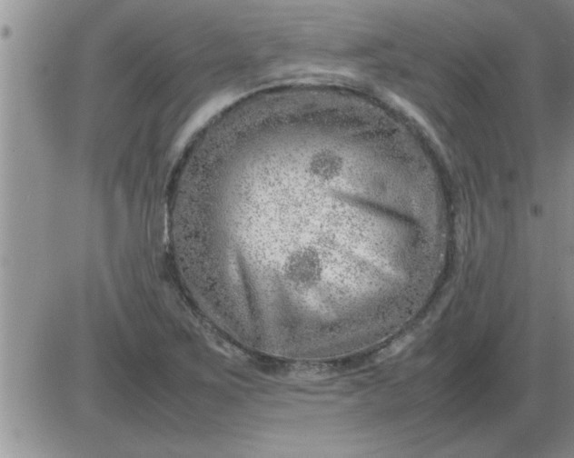 X0000085291267200703231823