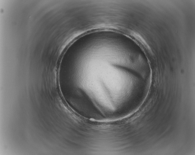 X0000085291268200703231823