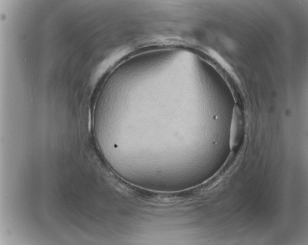 X0000085291269200703231823