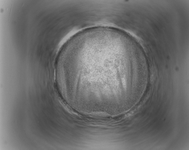 X0000085291271200703231823